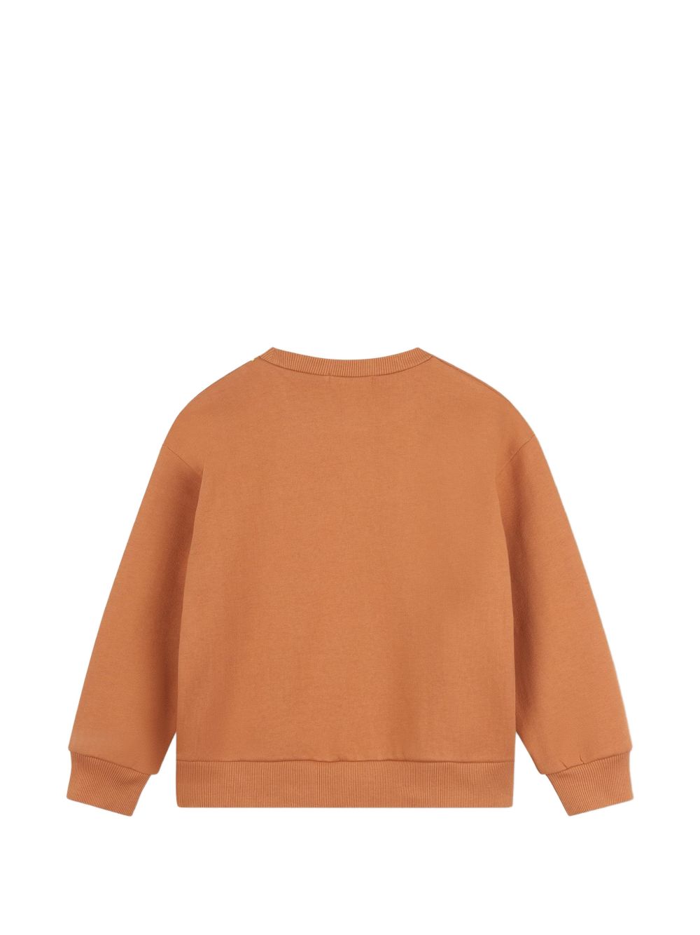 Retro brushed felpa in cotone garzato, costina su scollo, polsini e fondo, loop ricamo sul davanti. U22314 31E BILLIE BLUSH KIDS