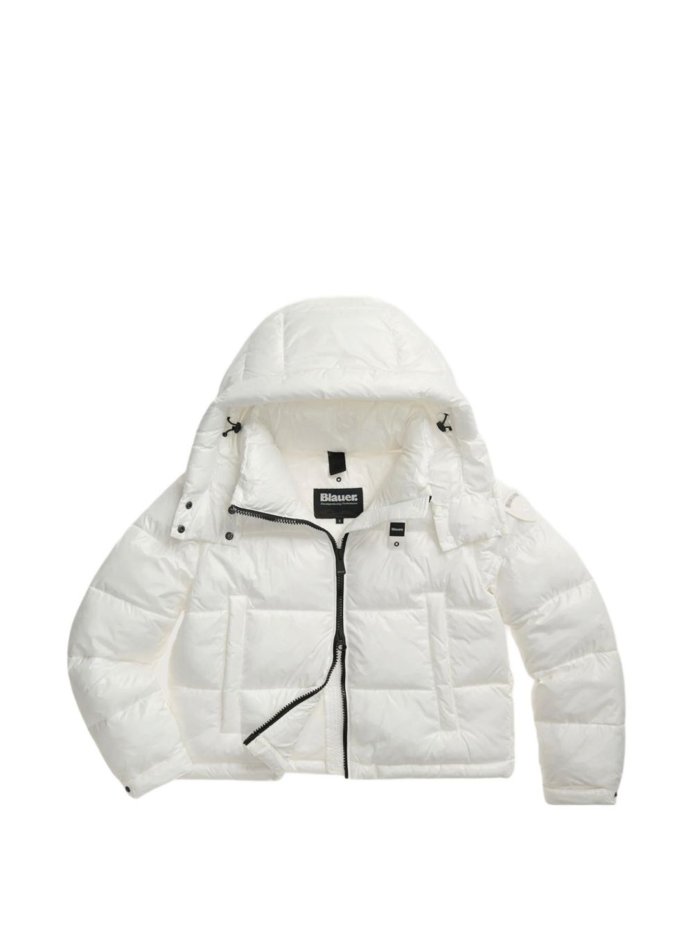 26WBLDC02071006648 100BI BLAUER