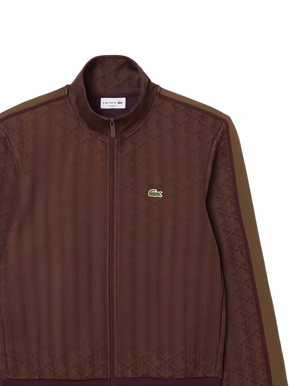 SH1368 WD9 LACOSTE
