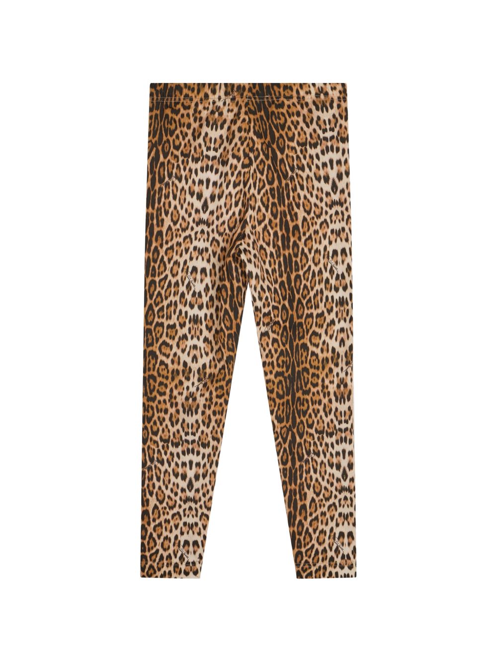 CGA26059LE MF1GIAG ROBERTO CAVALLI JUNIOR