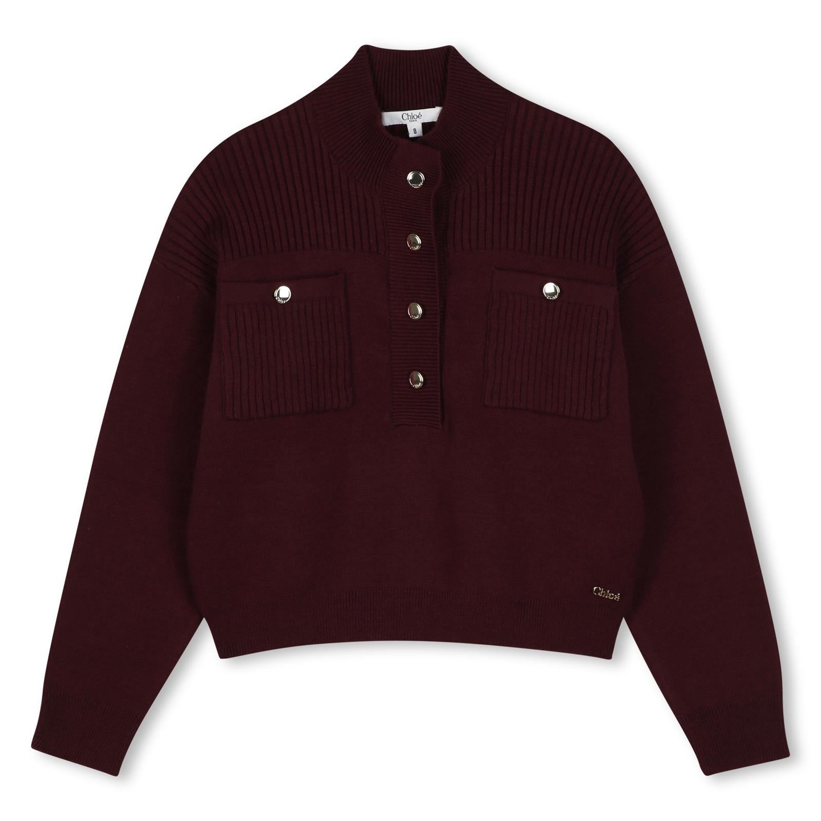 High collar in maglia felpa 80% containing cotton from organic farming 20% cashmere filato, chloé gold metal plate on davanti. C21399 94E CHLOE KIDS