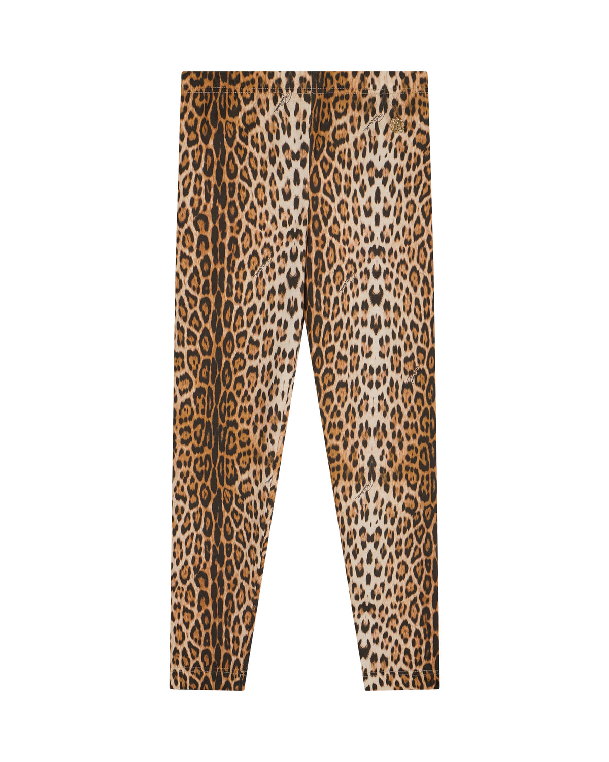 CGA26059LE MF1GIAG ROBERTO CAVALLI JUNIOR
