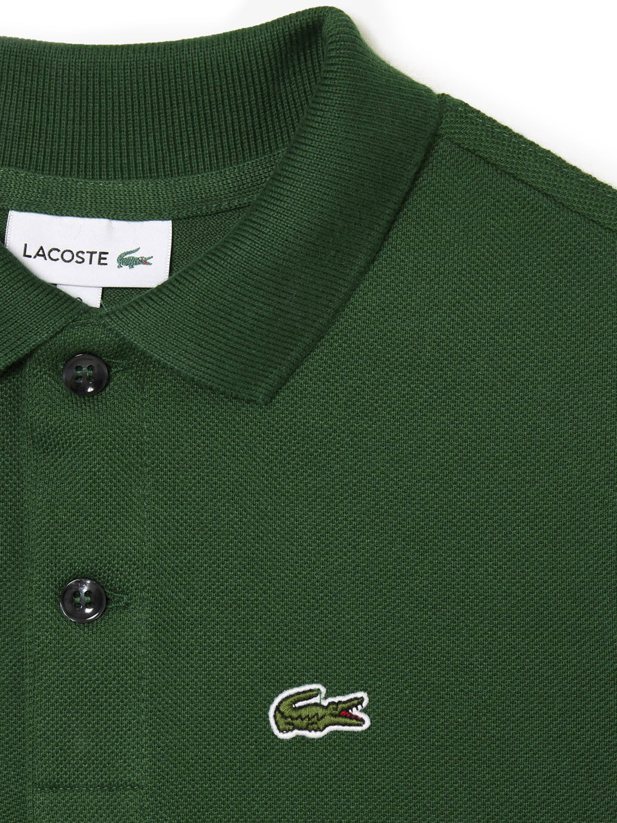 Polo verde logo ricamo PJ2909 132 LACOSTE KIDS