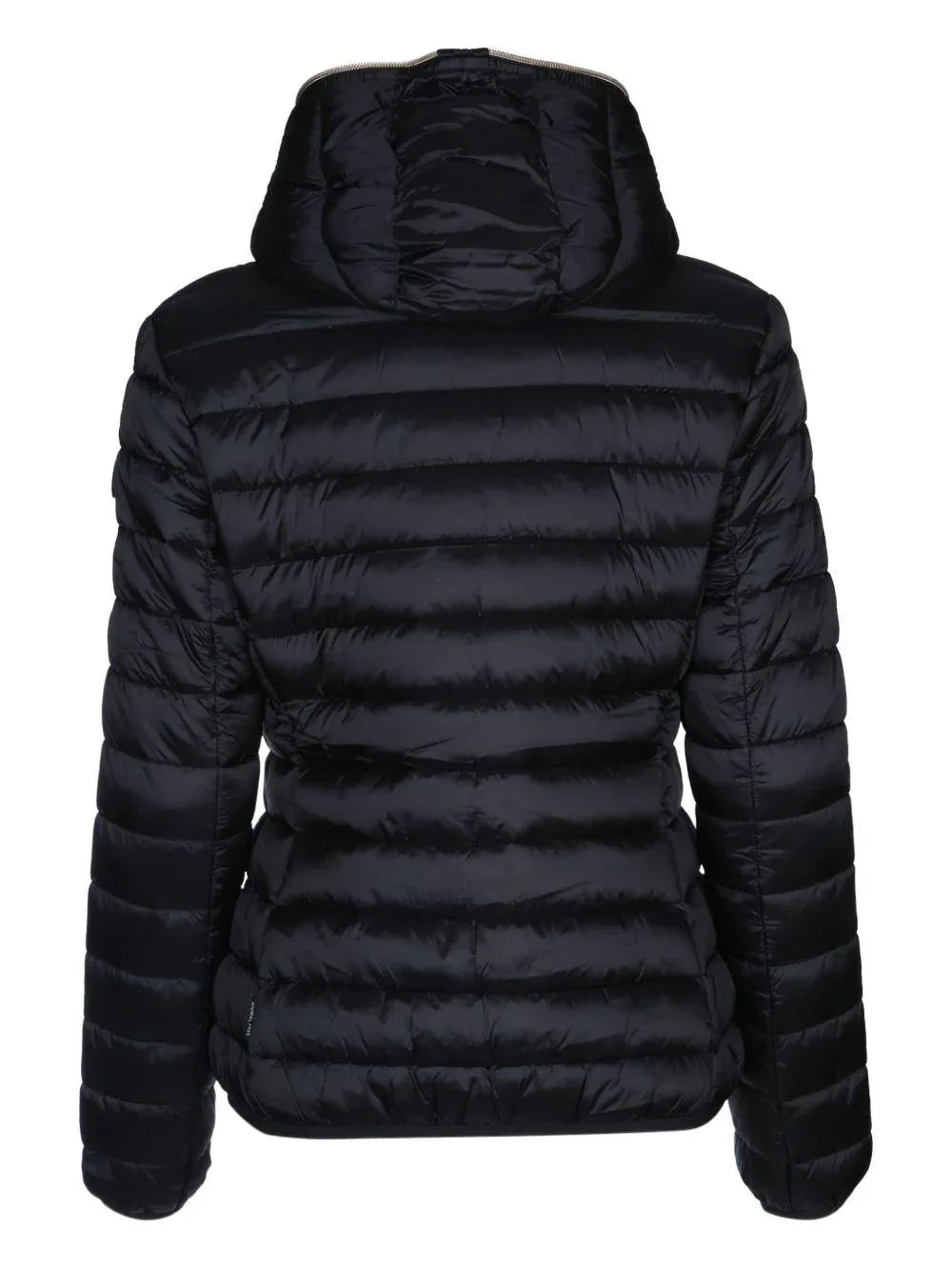 D33620WIRIS2110000 - Preludio Moda