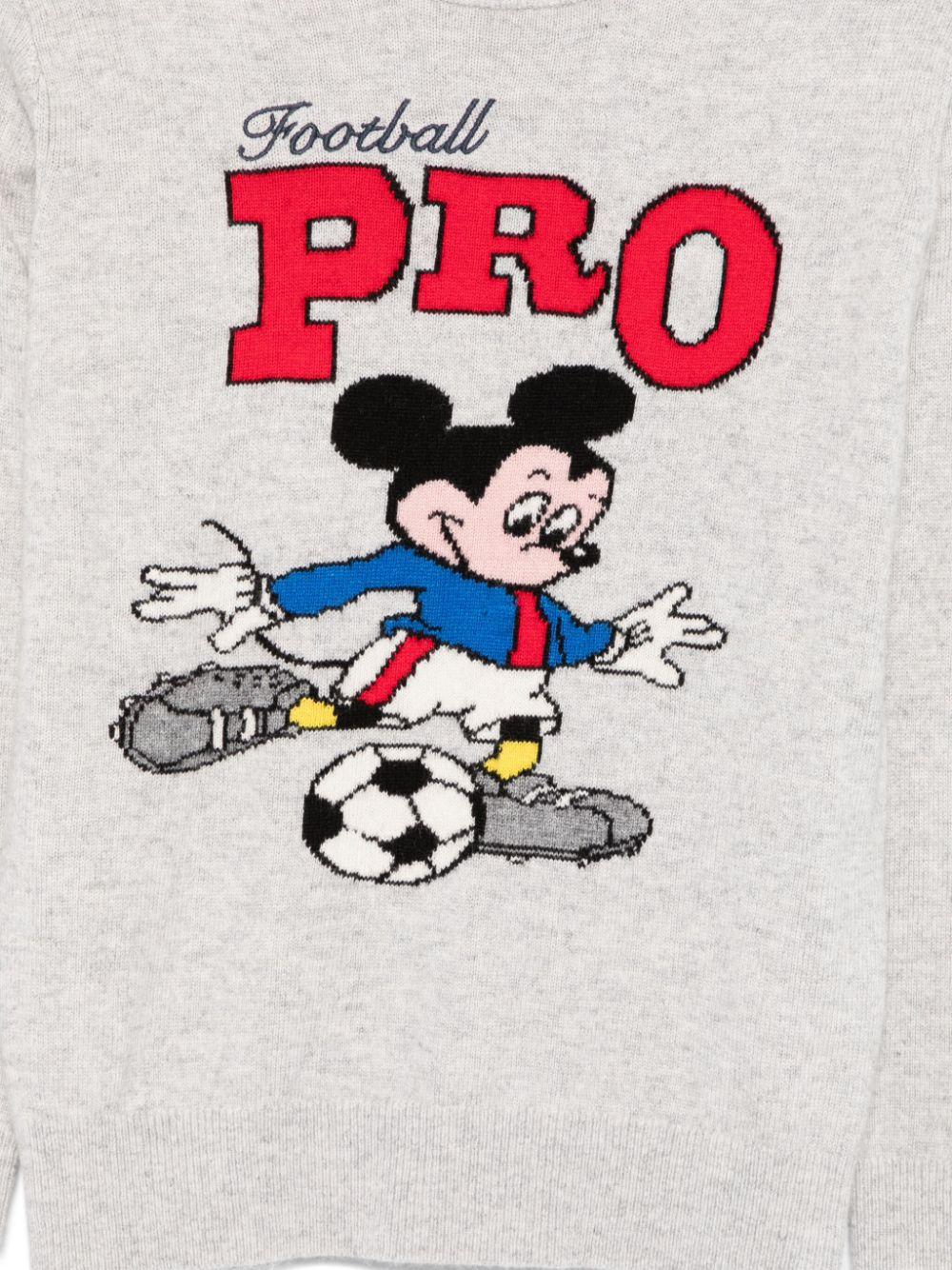 Maglione grigio " Football pro"