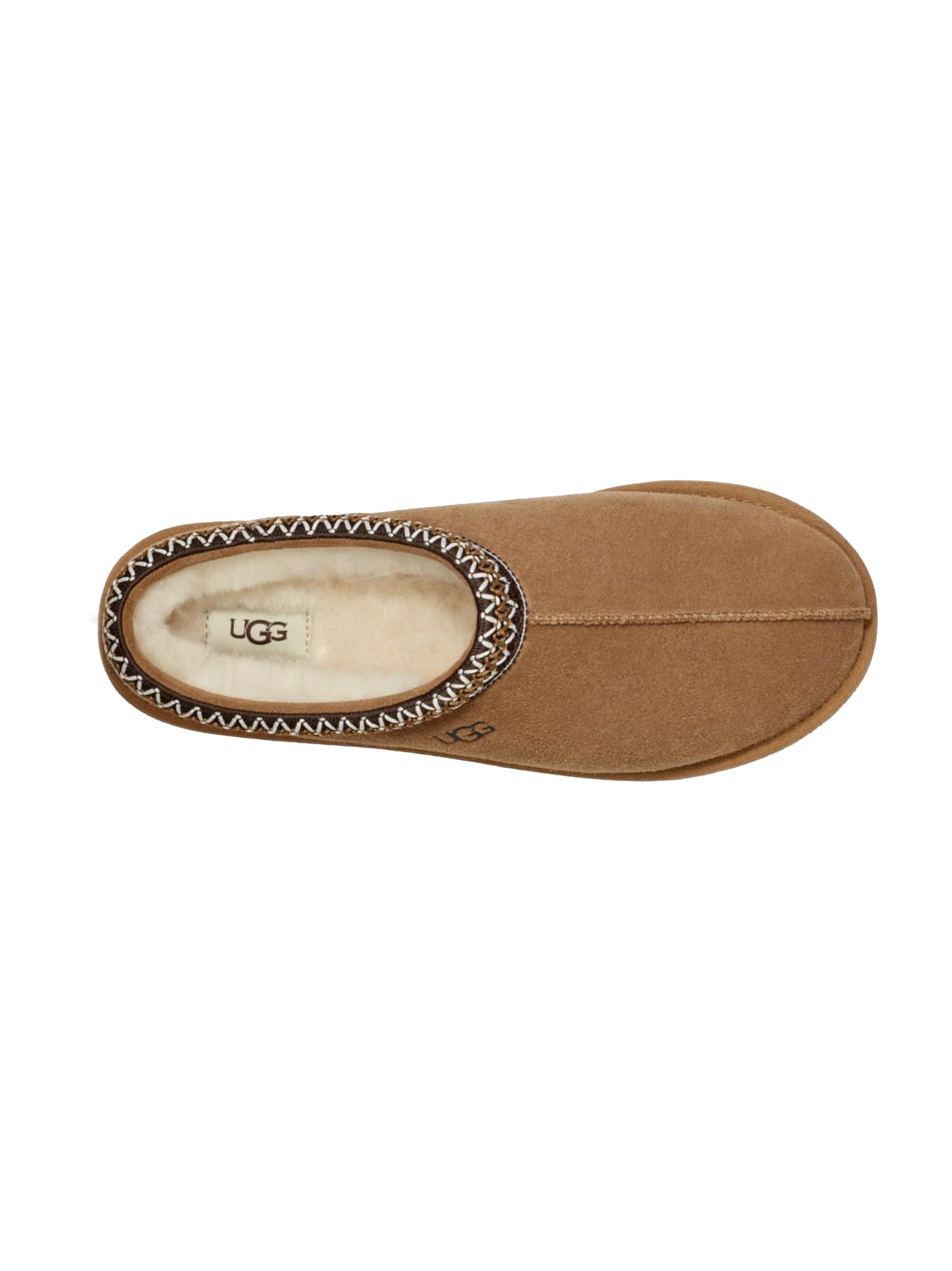 Slipper Tasman chestenut
