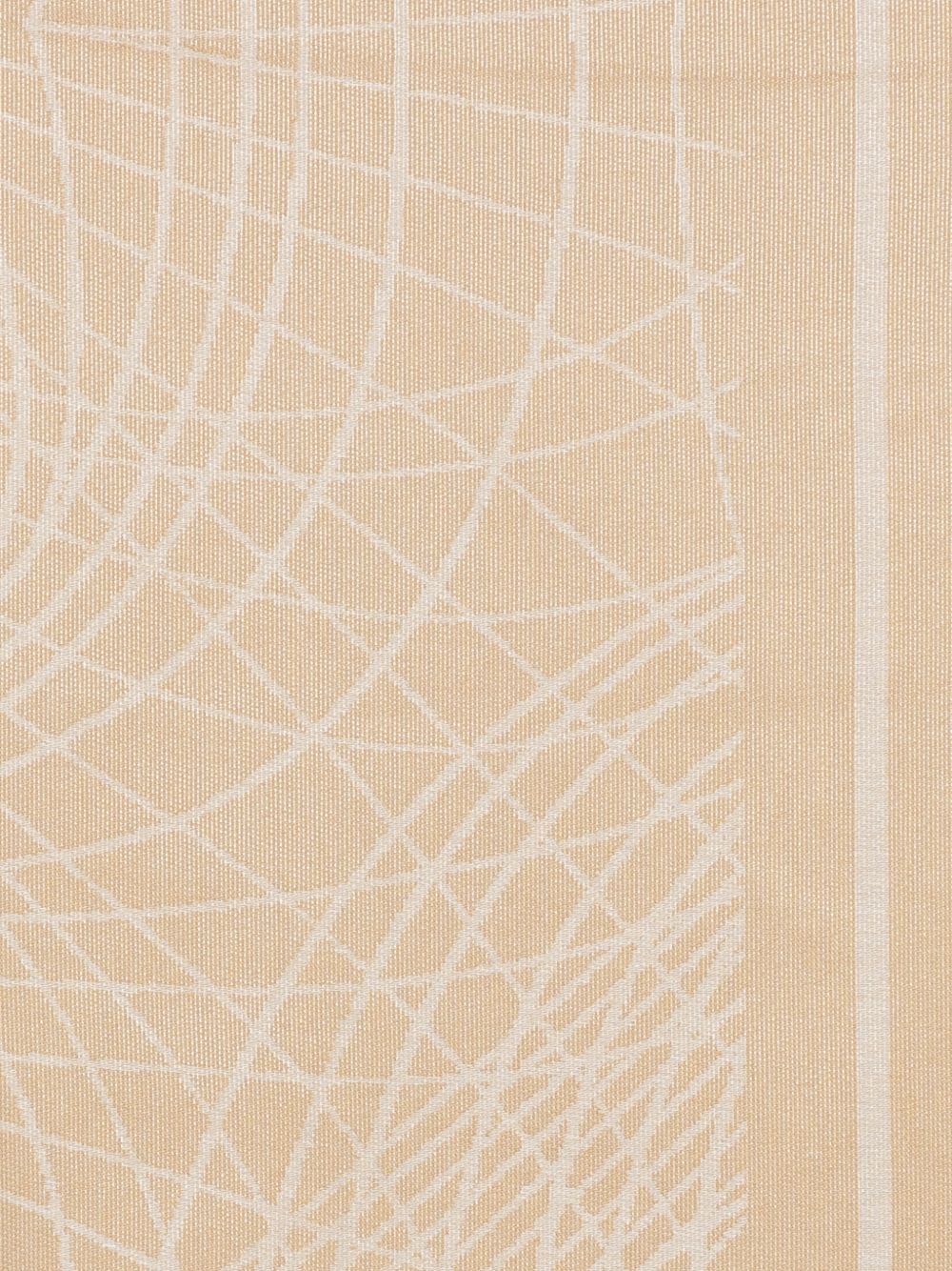 Scialle con stampa geometrica SC13F62E2 470 ELISABETTA FRANCHI 