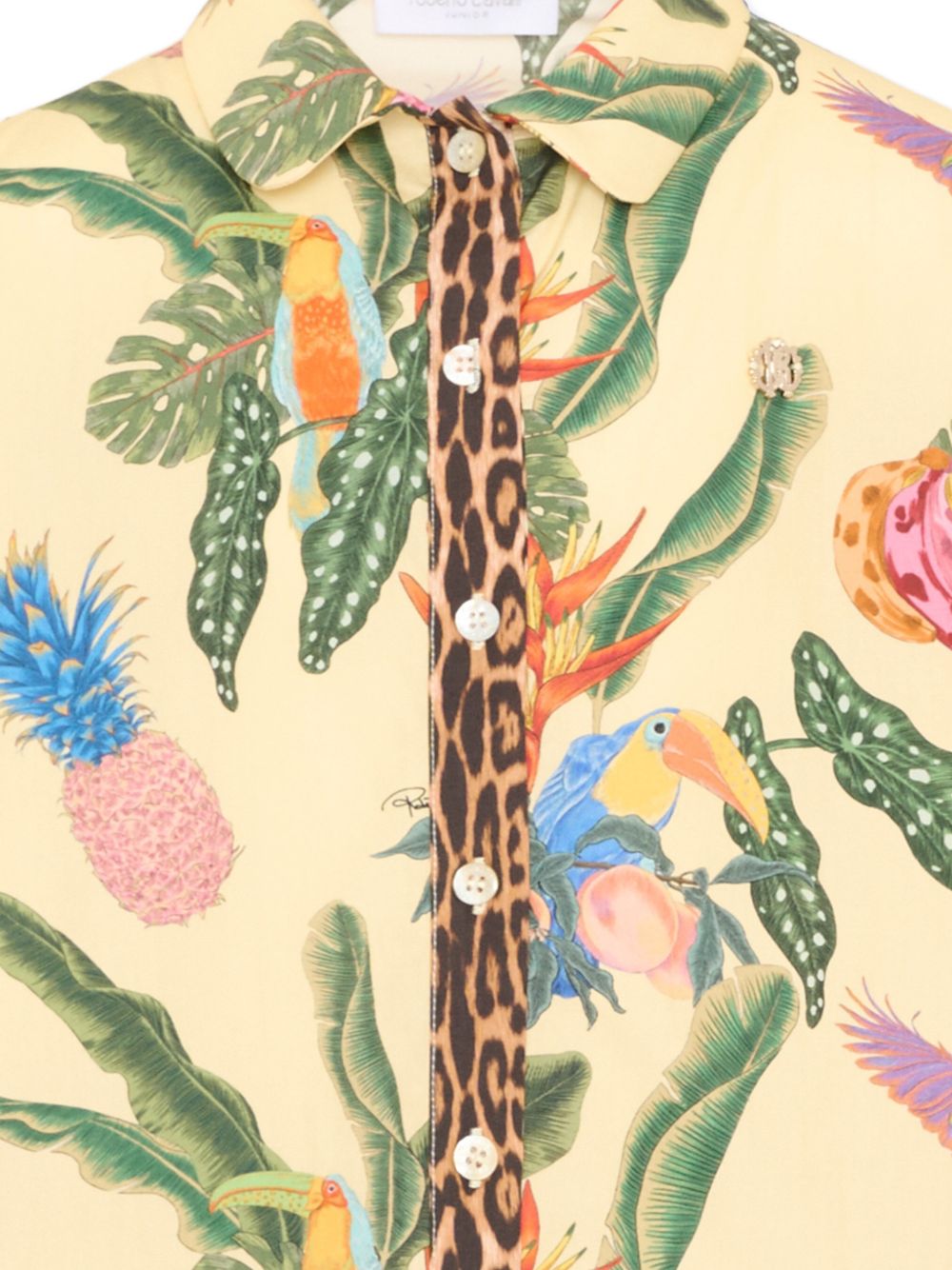  CGP26052CA TROPICANA ROBERTO CAVALLI  JUNIOR 