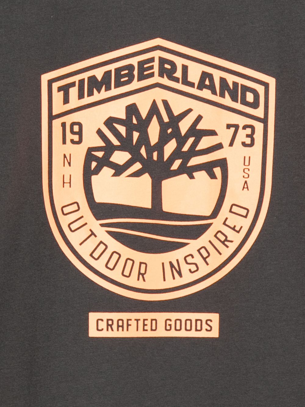 T-shirt girocollo in cotone T60791 066 TIMBERLAND KIDS 