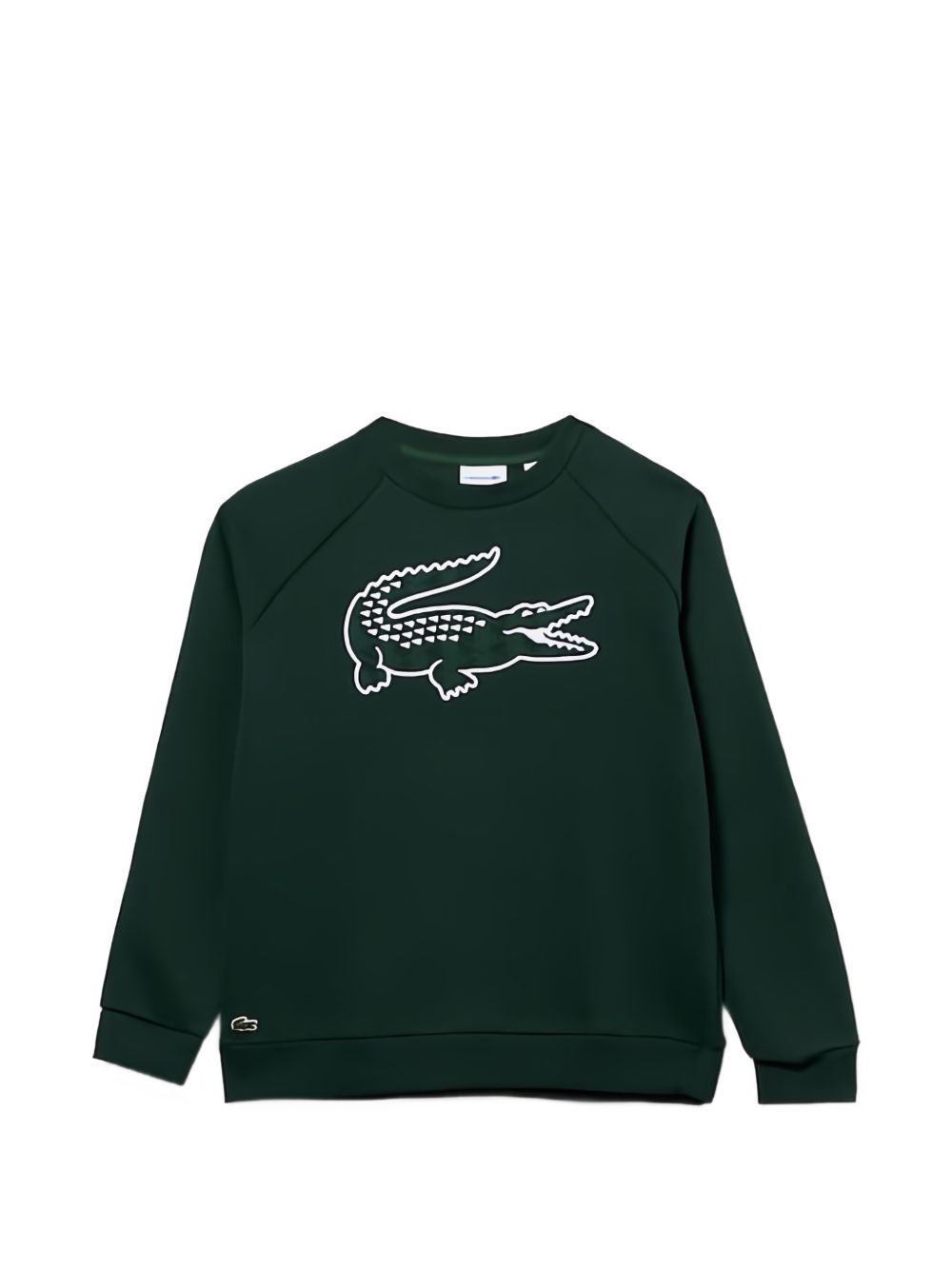  947091 YZP LACOSTE KIDS 