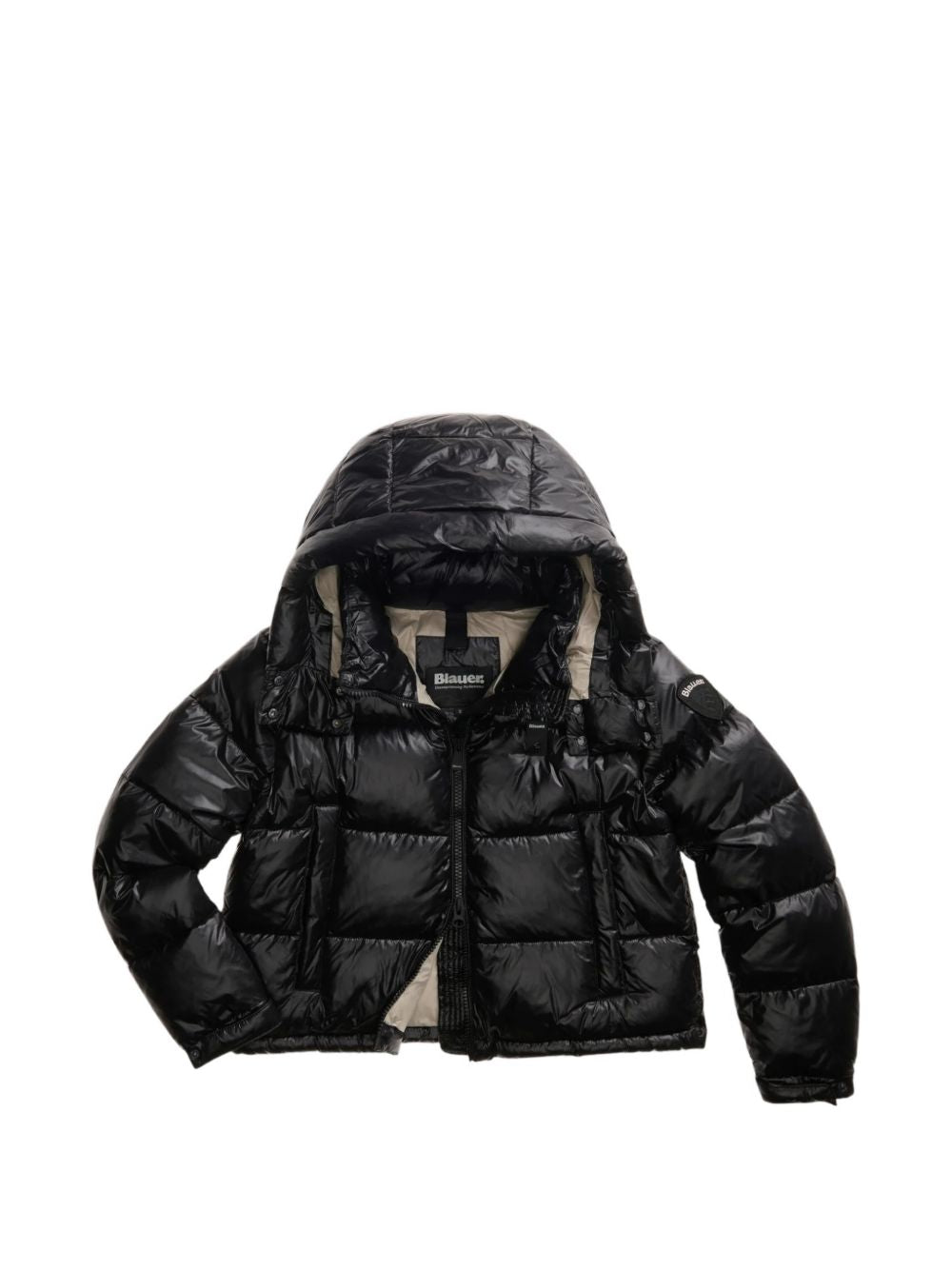 26WBLDC02071006648 999EI BLAUER 