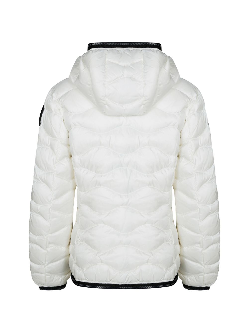  26WBLDC03033006047 100BI BLAUER 