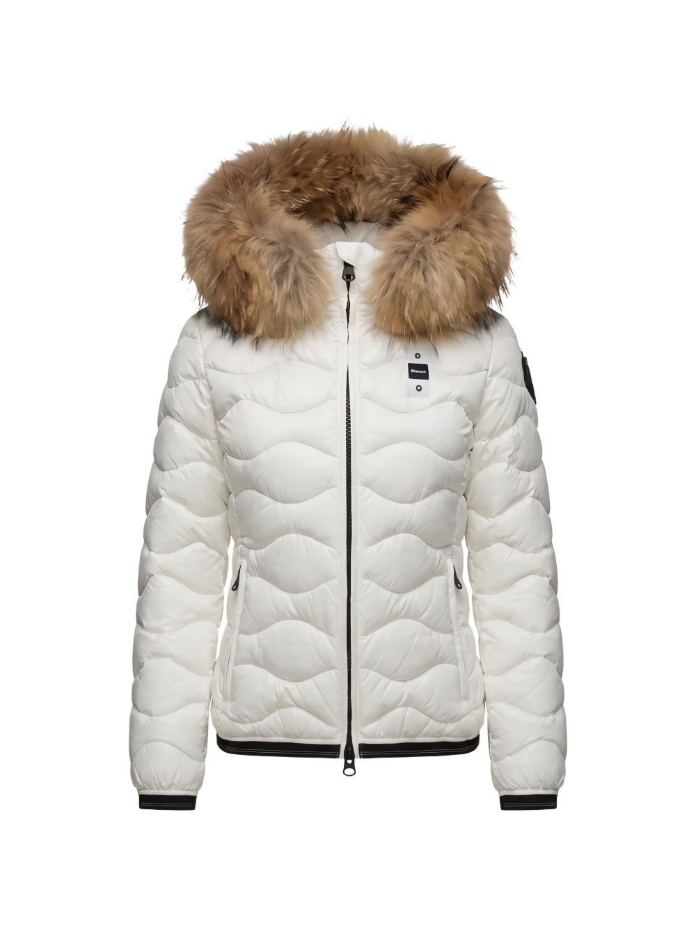  26WBLDC03034006047 100BI BLAUER 