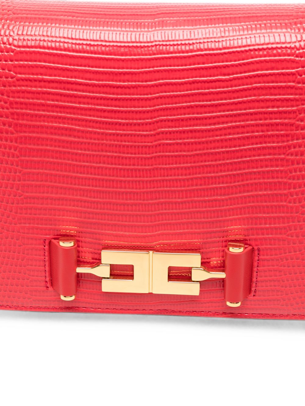 Borsa Red Passion BS09A66E2 CG5 ELISABETTA FRANCHI 