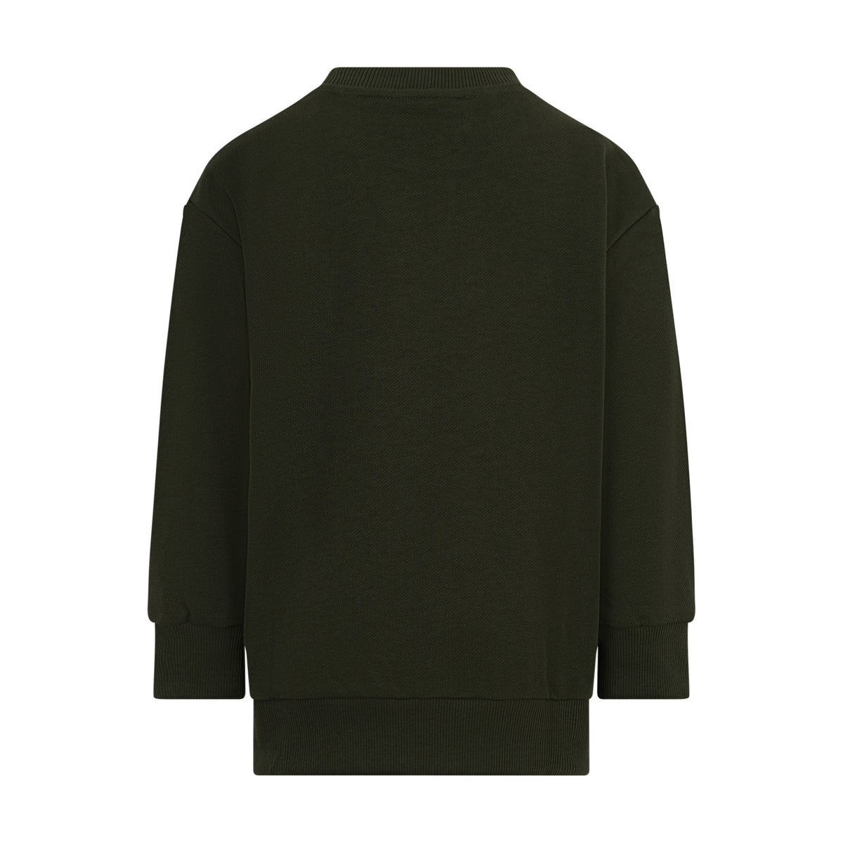 Felpa Verde GZ4P20Z3183 70J ETRO KIDS 