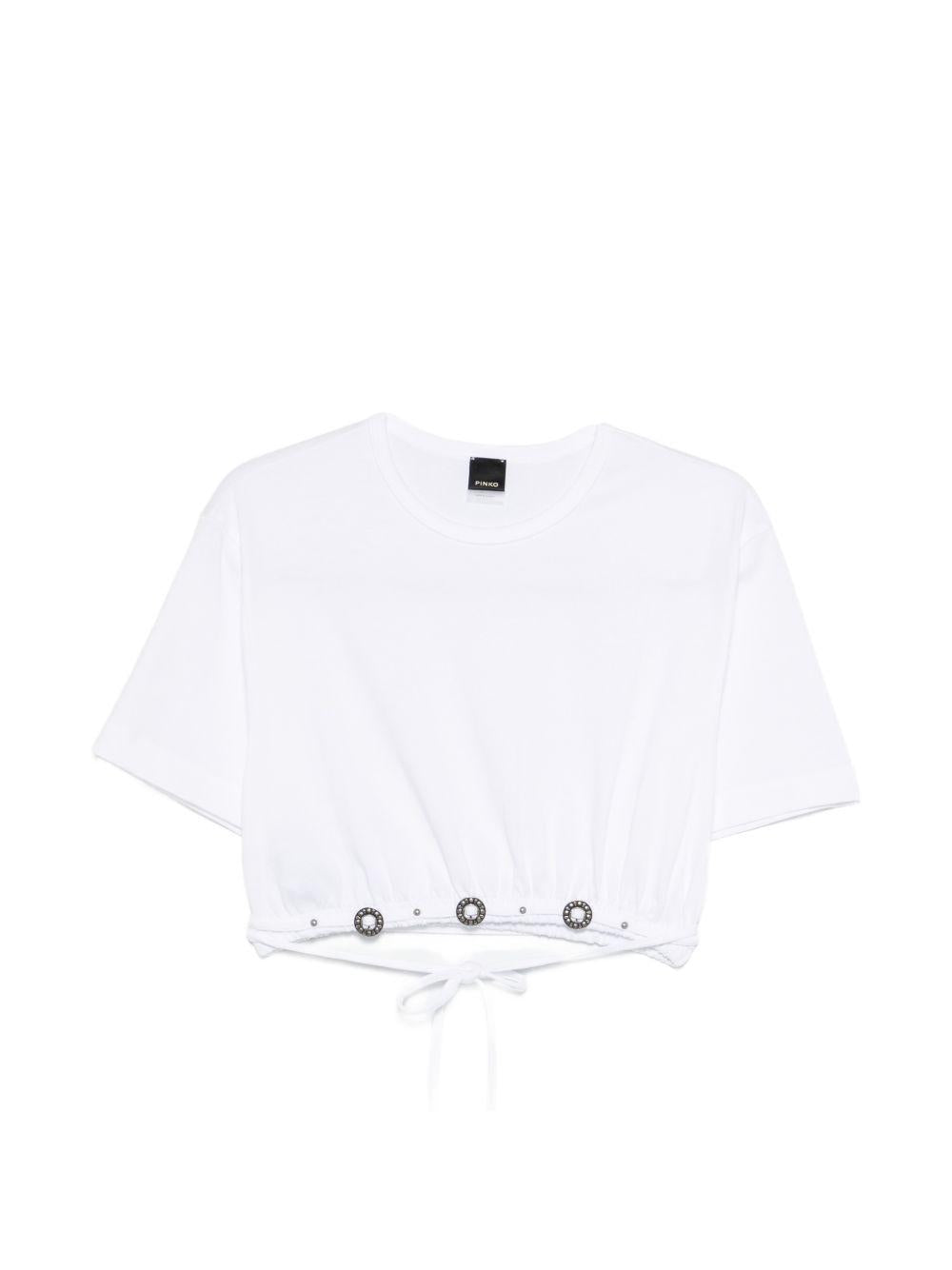  106907A3AR Z04 PINKO 