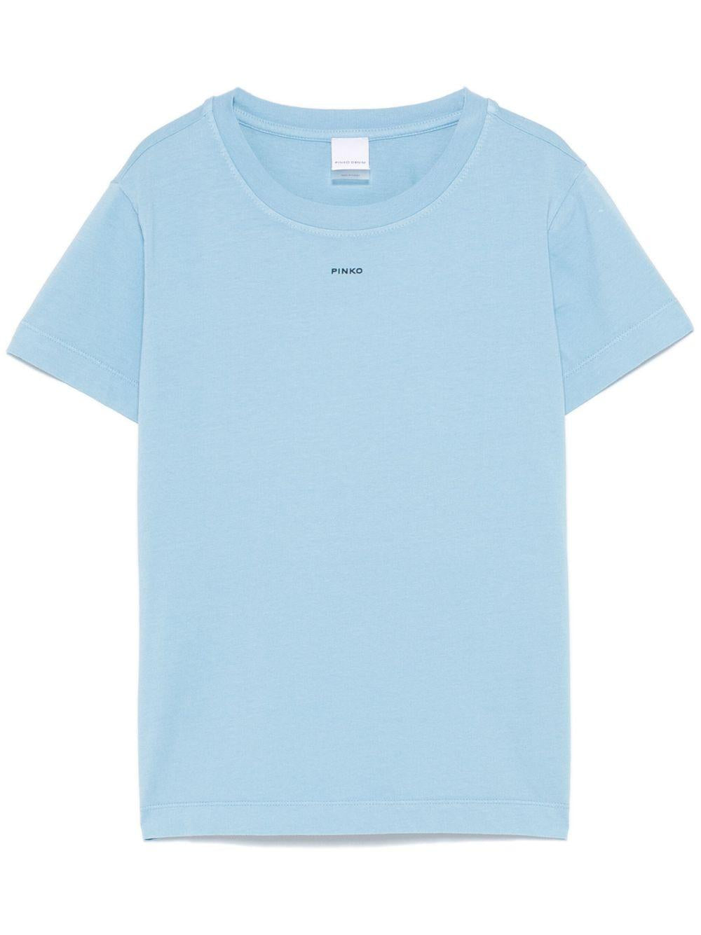 T-shirt azzurra  mini logo