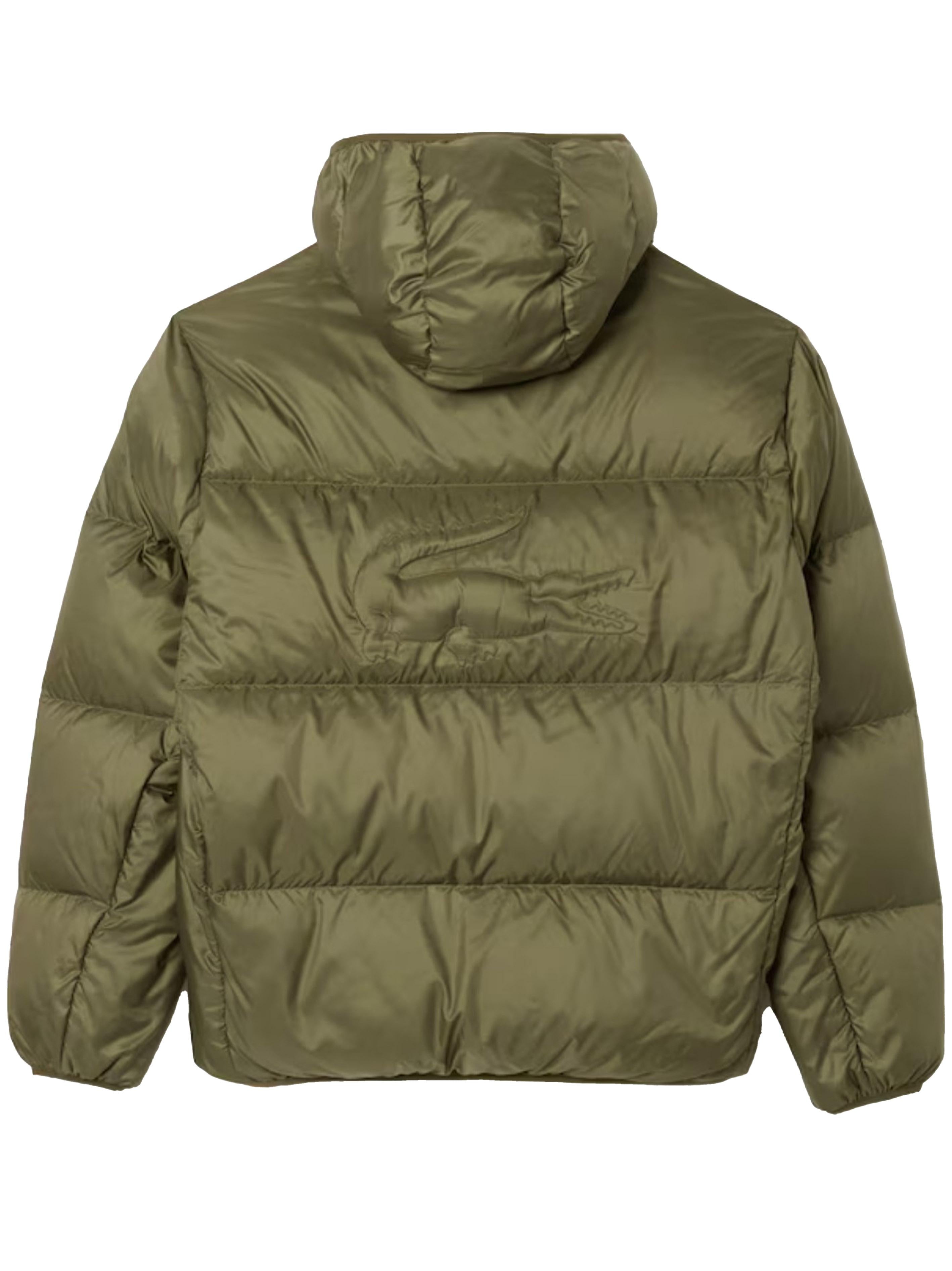 Giubbino verde cachi logo rilievo retro BH2905 BMY LACOSTE 